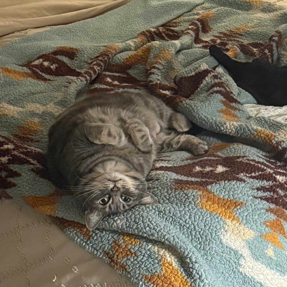 Meet your Posher, Keeandra